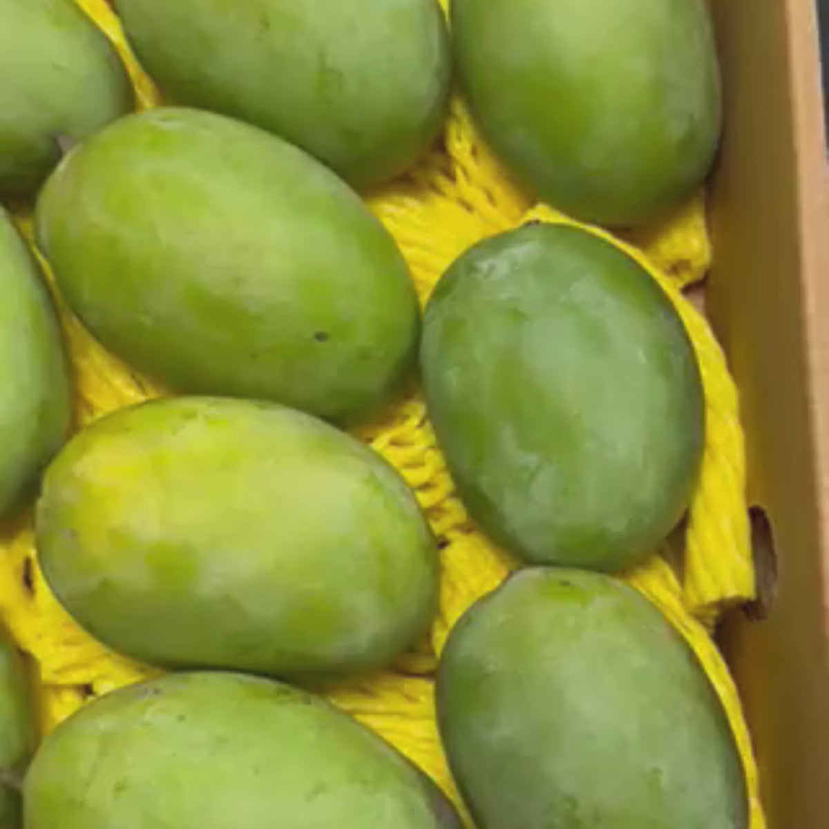 Langra Mango