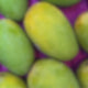 Kesar Mango 12pcs