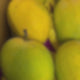 Alphonso Mango 6pcs