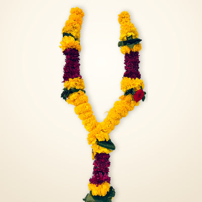 Yellow Marigold & Maroon | Genda Haar | Fresh Flower Garland